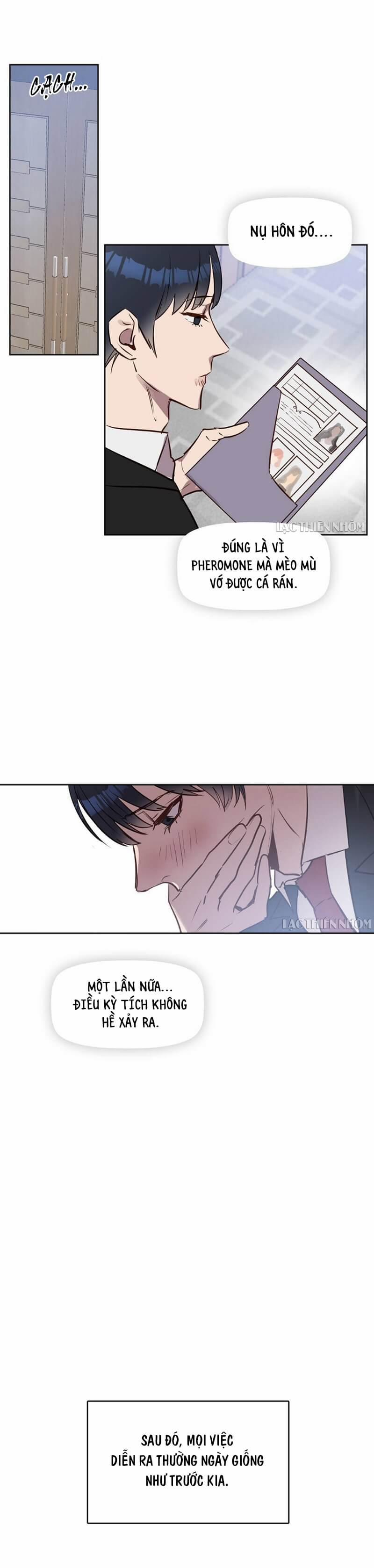 Hôn Tôi Đi, Đồ Dối Trá 6 trang 14