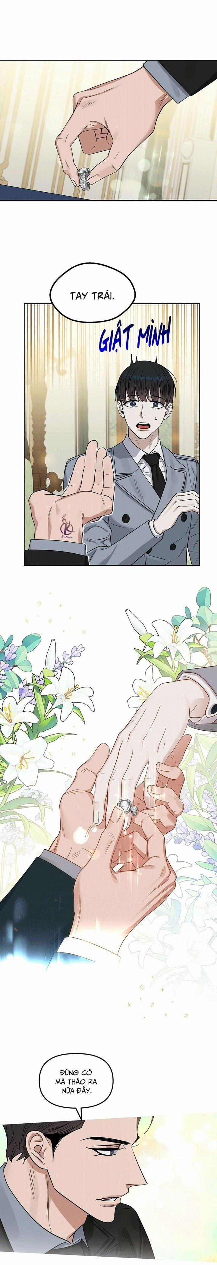 Hôn Tôi Đi, Đồ Dối Trá 65 trang 8