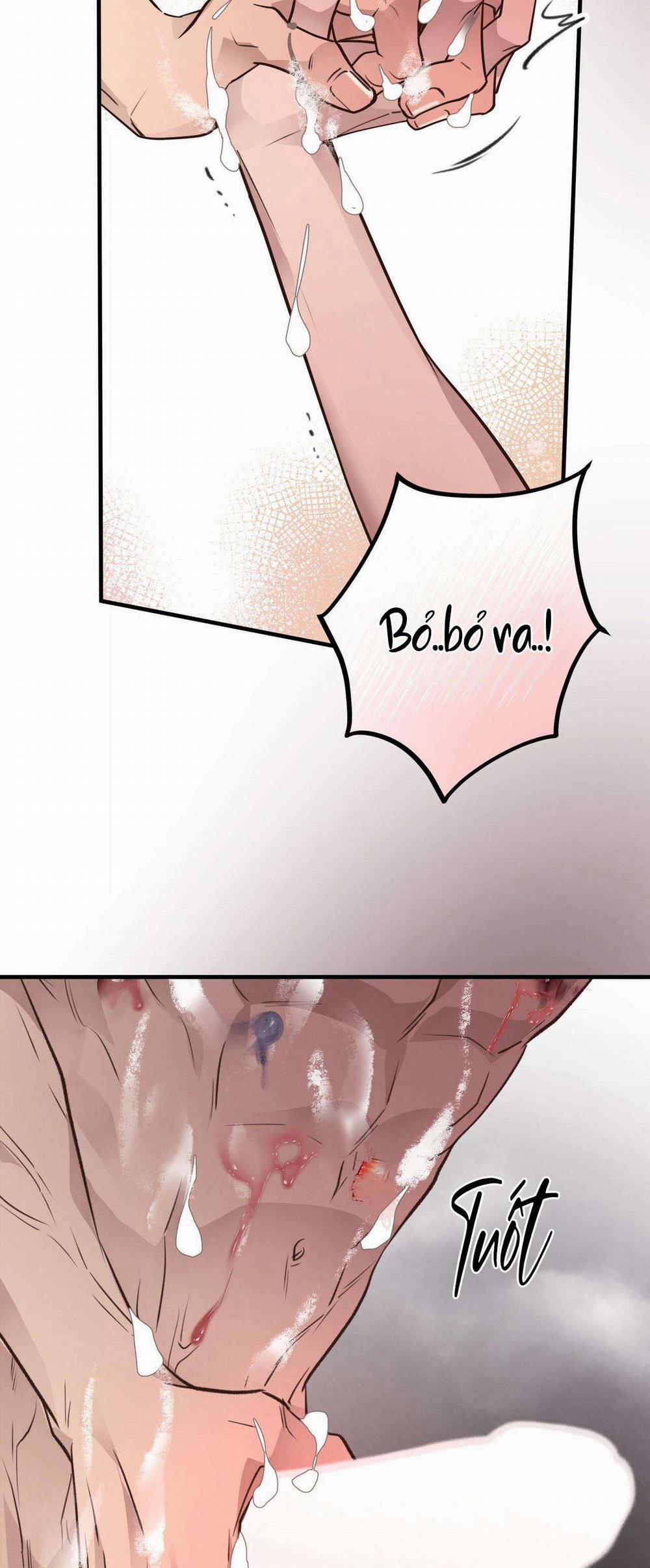 Honey Bear 34 trang 22