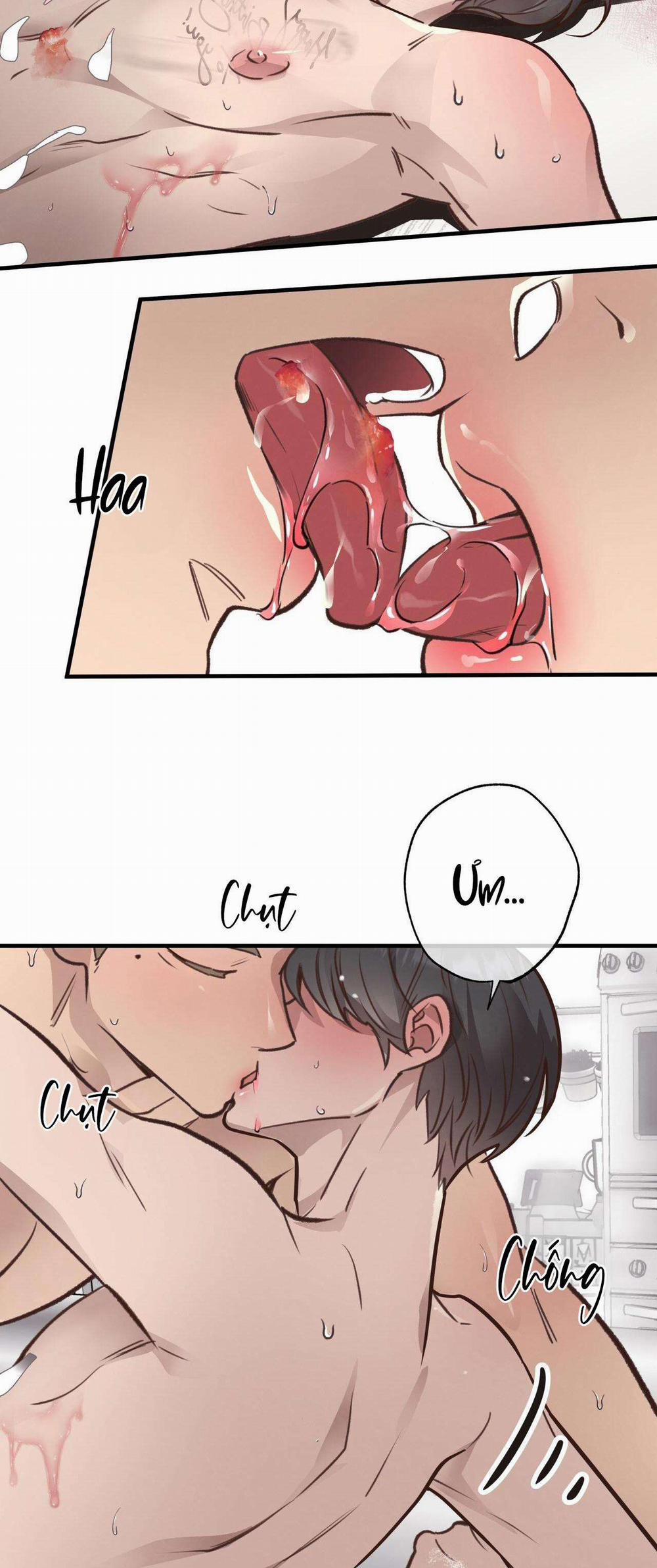 Honey Bear 34 trang 31