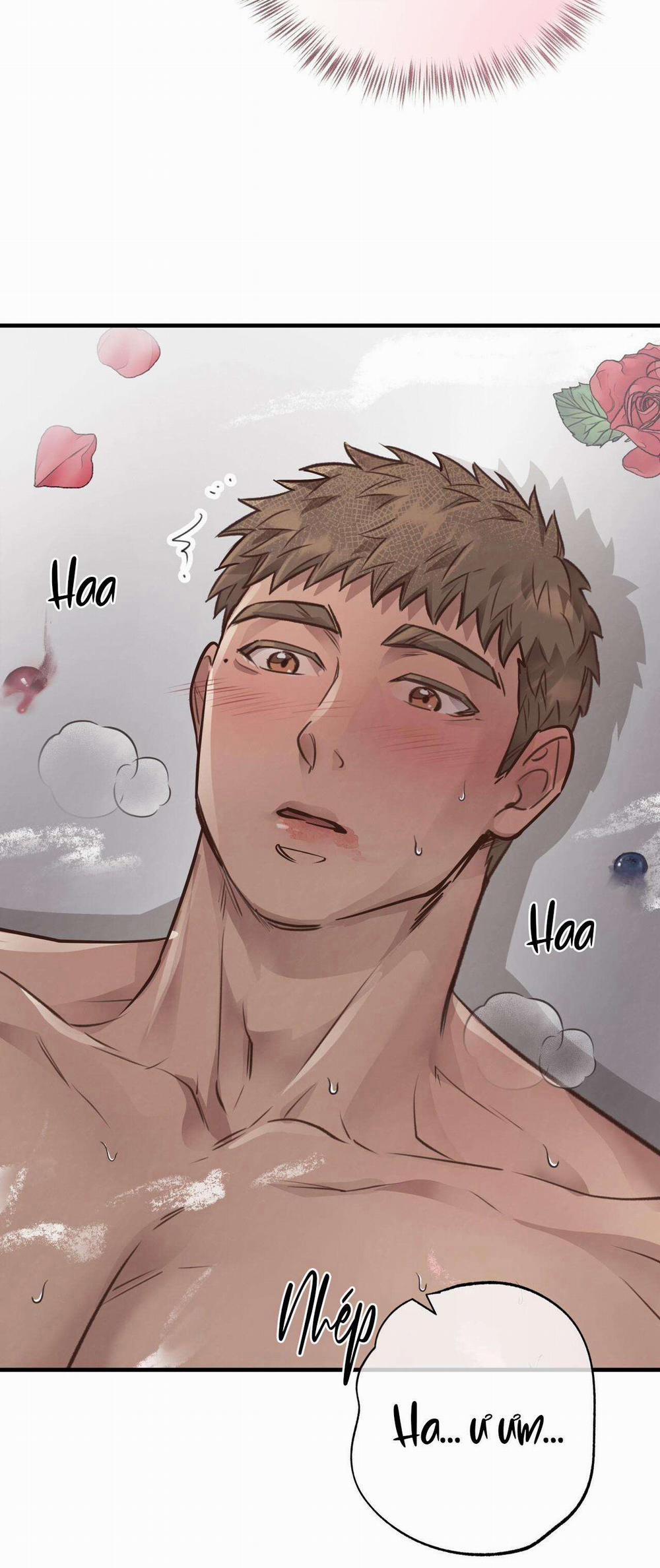 Honey Bear 34 trang 34