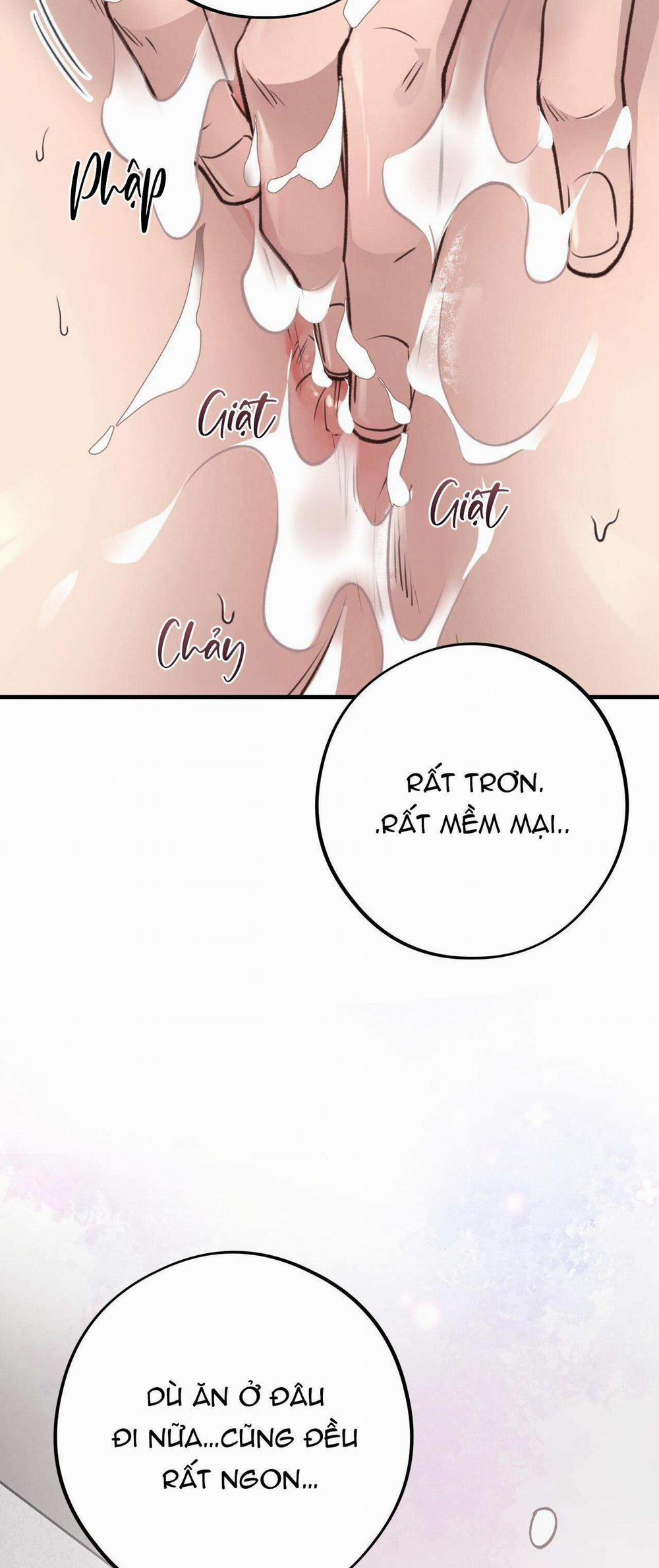 Honey Bear 34 trang 39