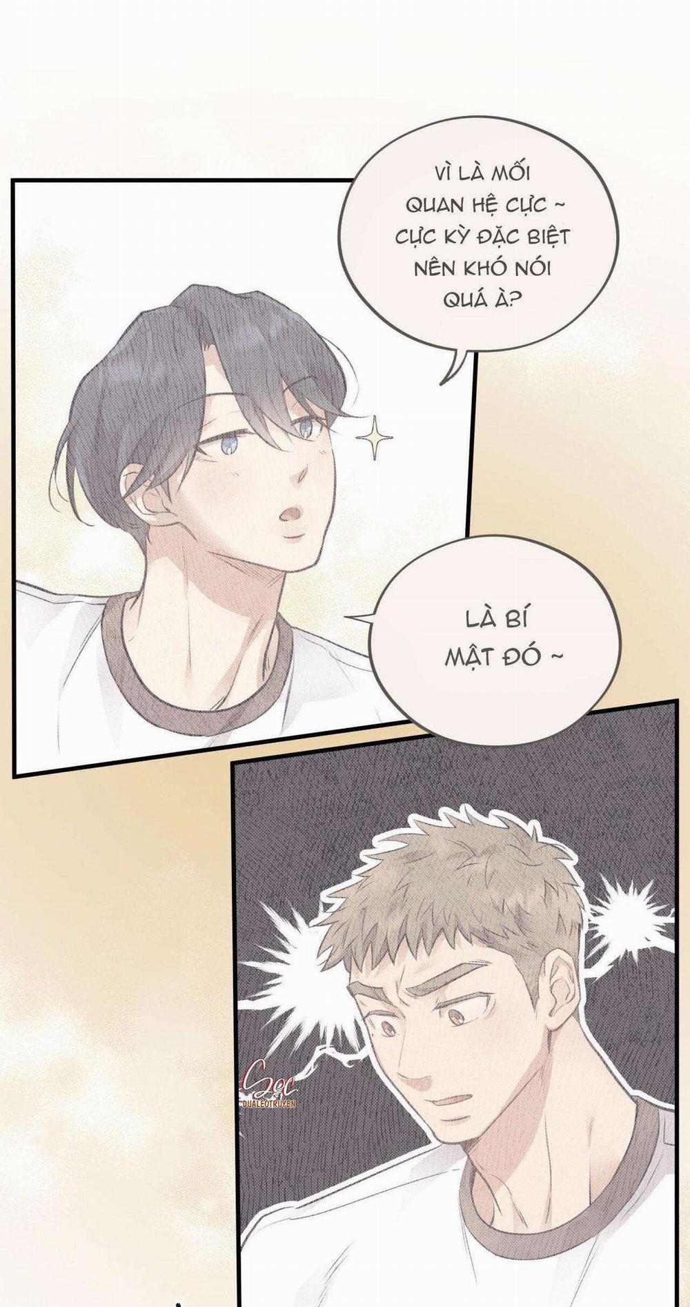 Honey Bear 35 trang 12