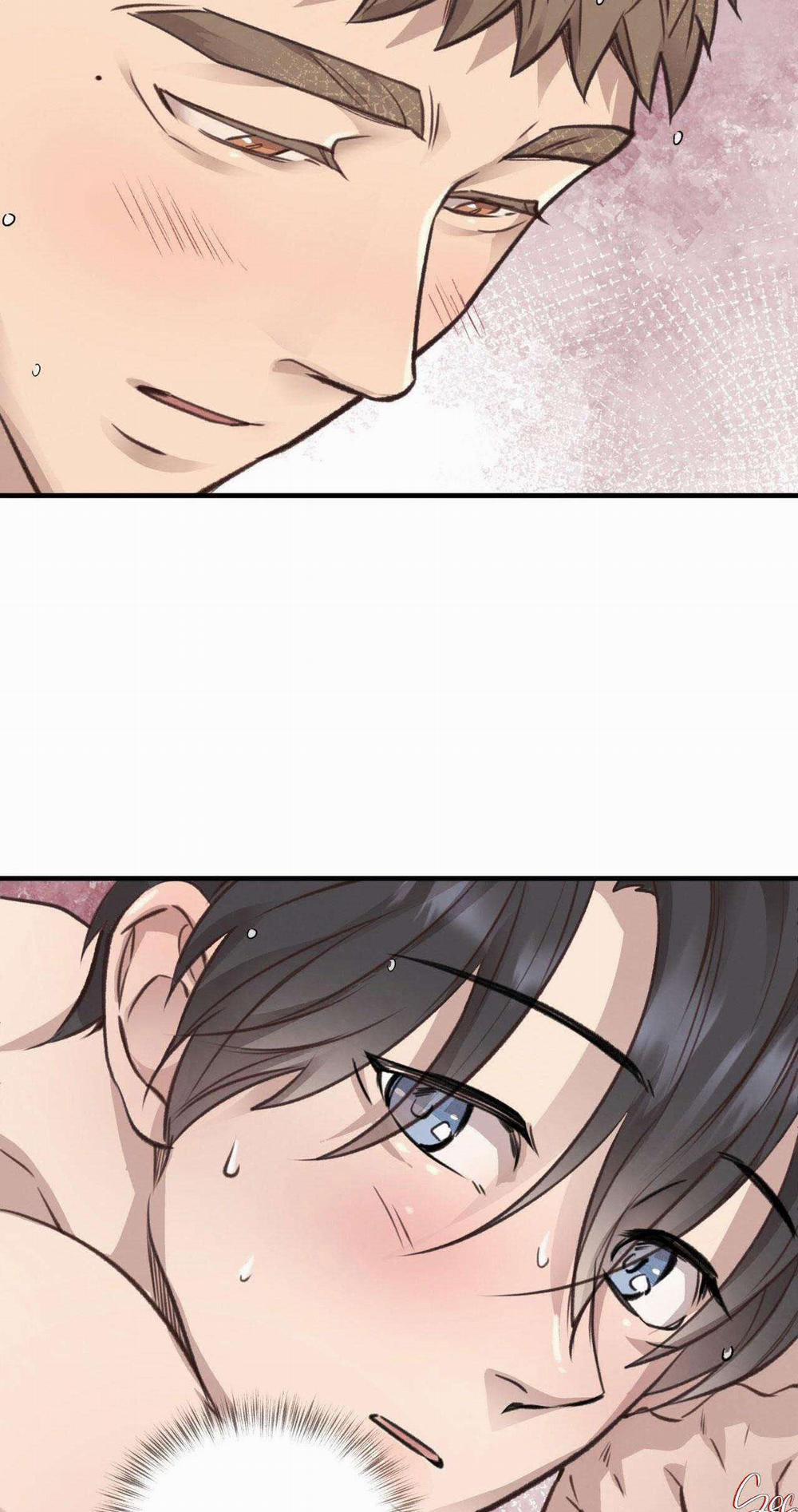 Honey Bear 35 trang 14