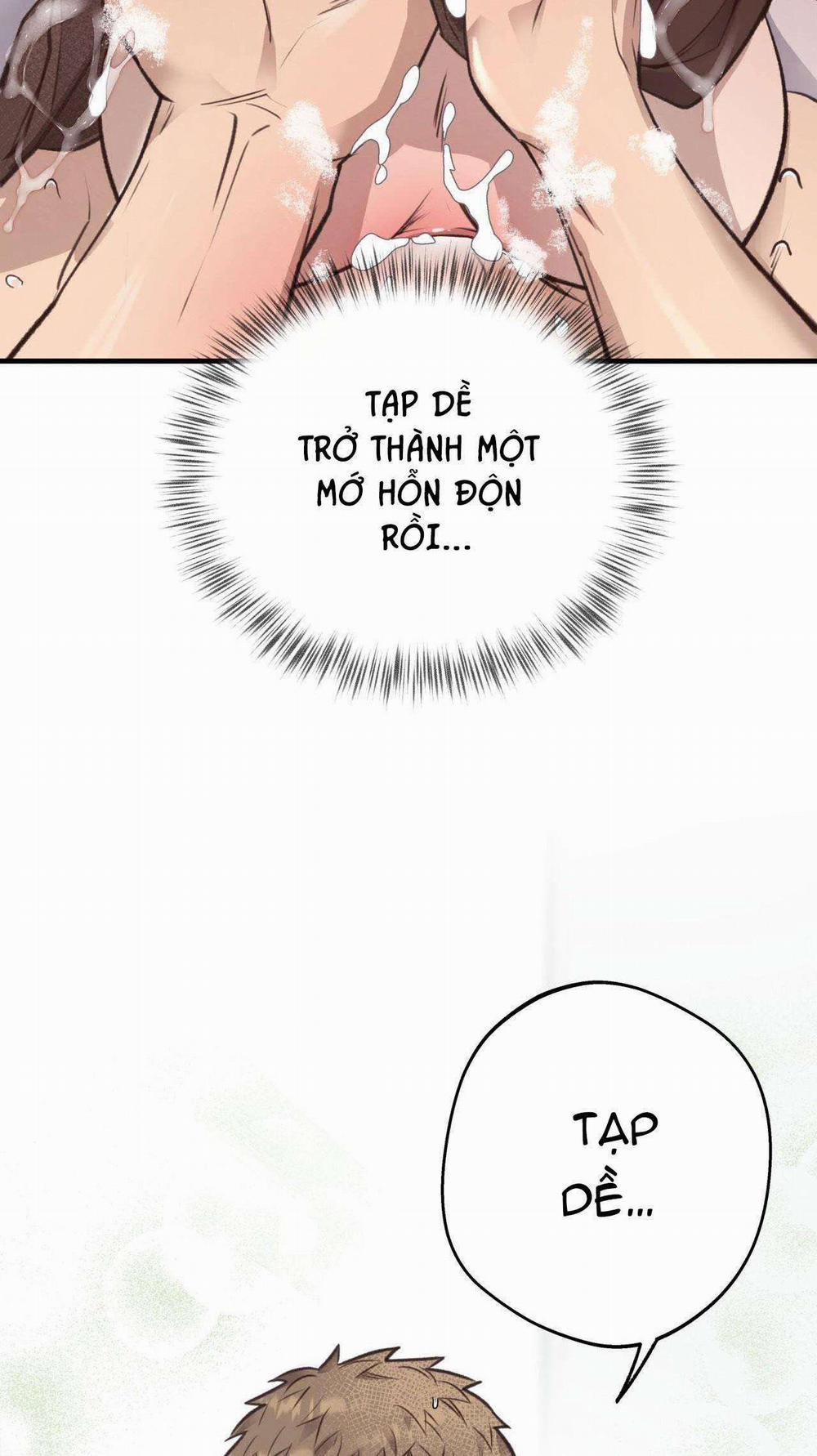 Honey Bear 35 trang 2