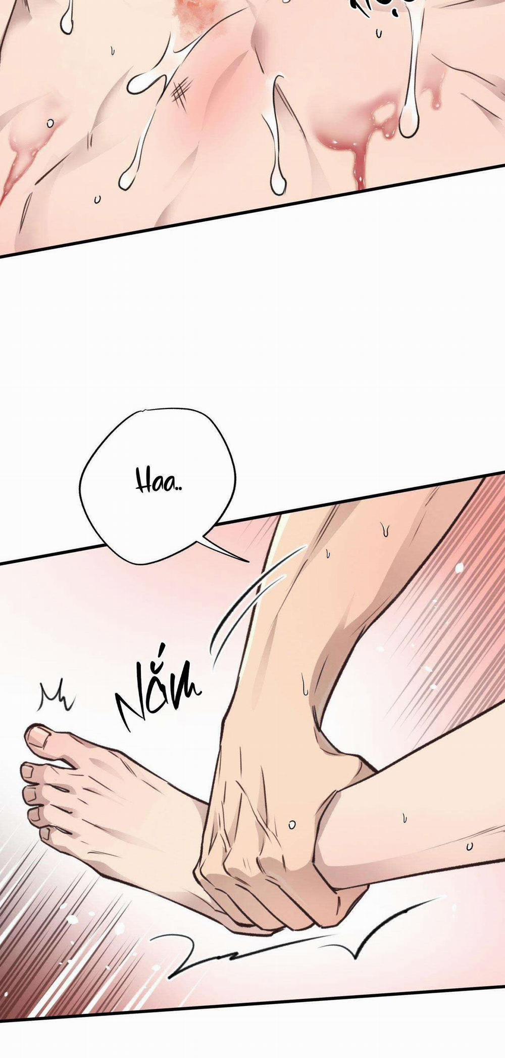 Honey Bear 35 trang 36