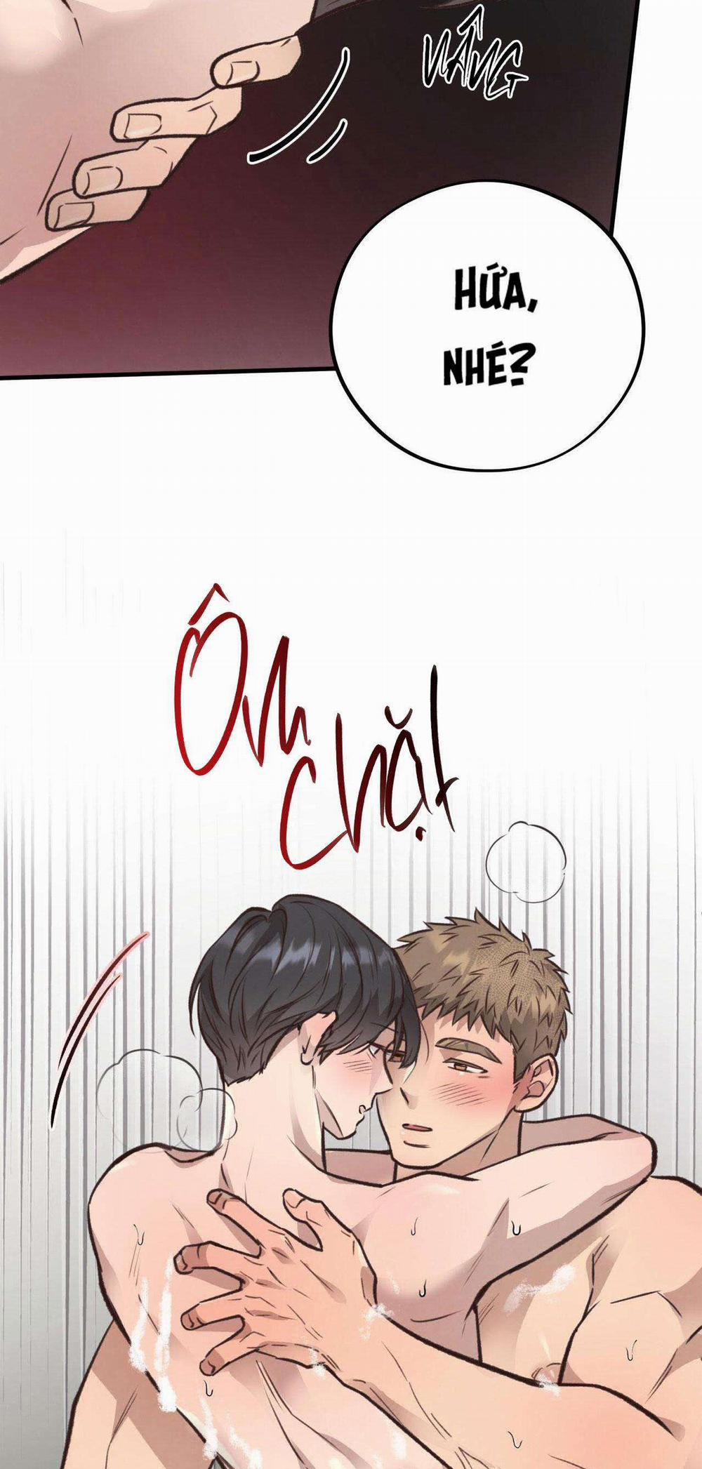 Honey Bear 35 trang 41