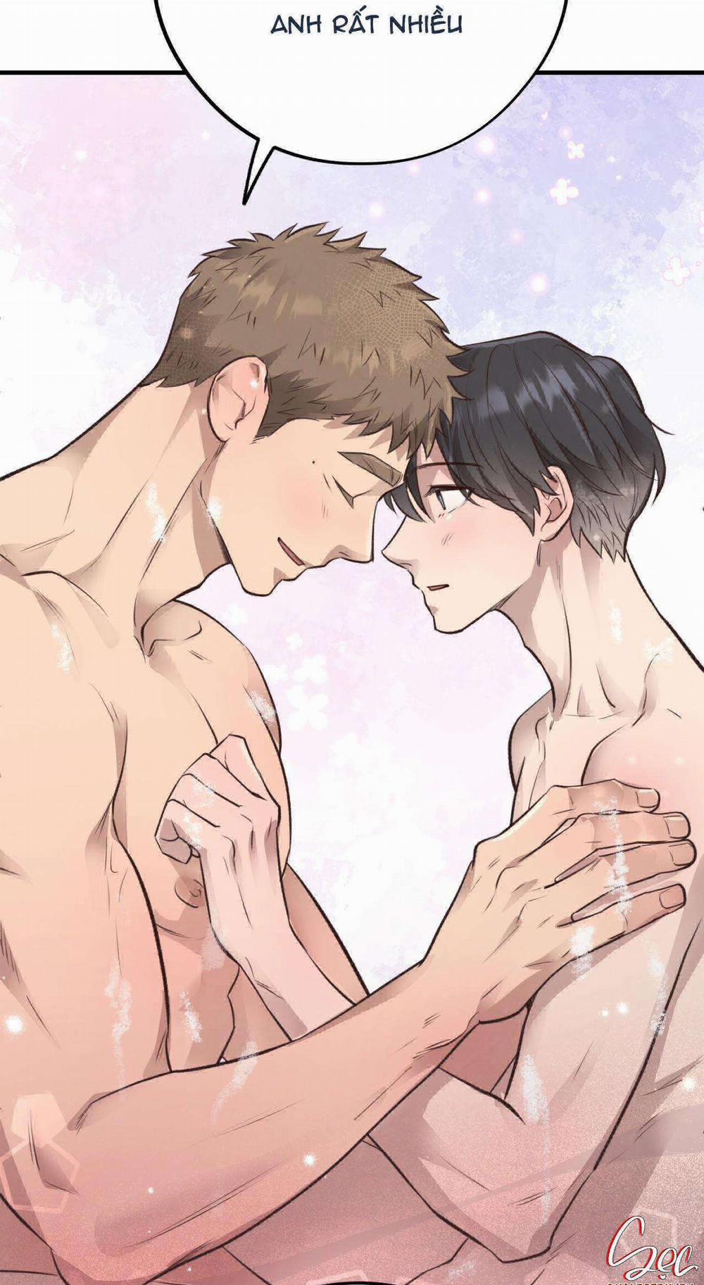 Honey Bear 35 trang 73