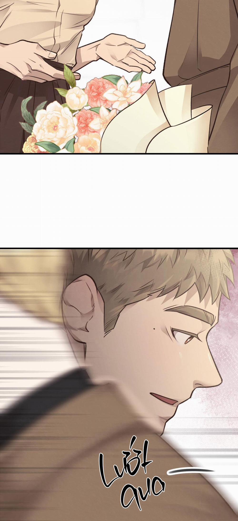 Honey Bear 36 trang 21