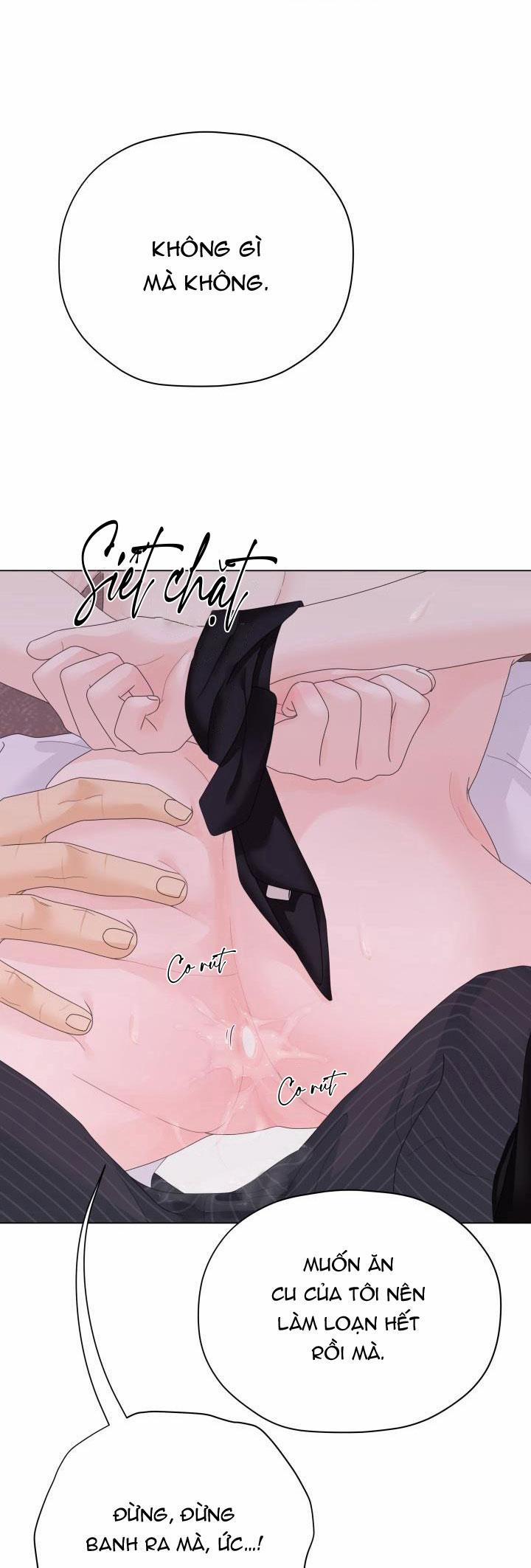 Honey Bear 36 trang 48