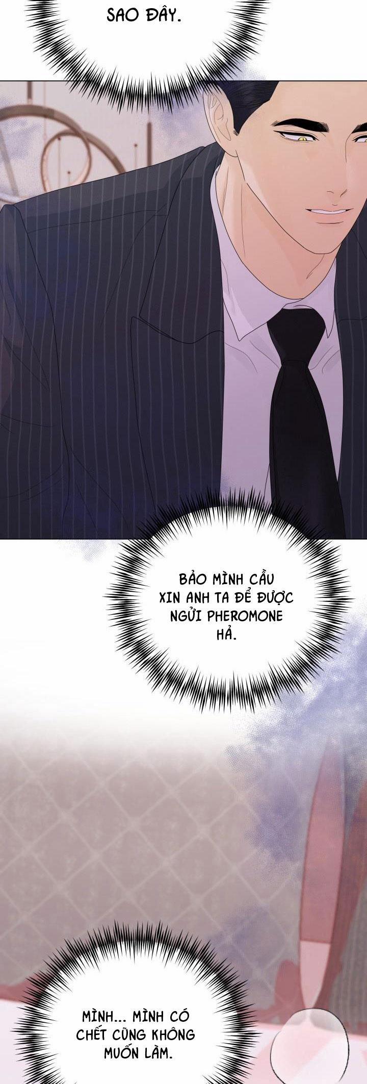 Honey Bear 36 trang 5