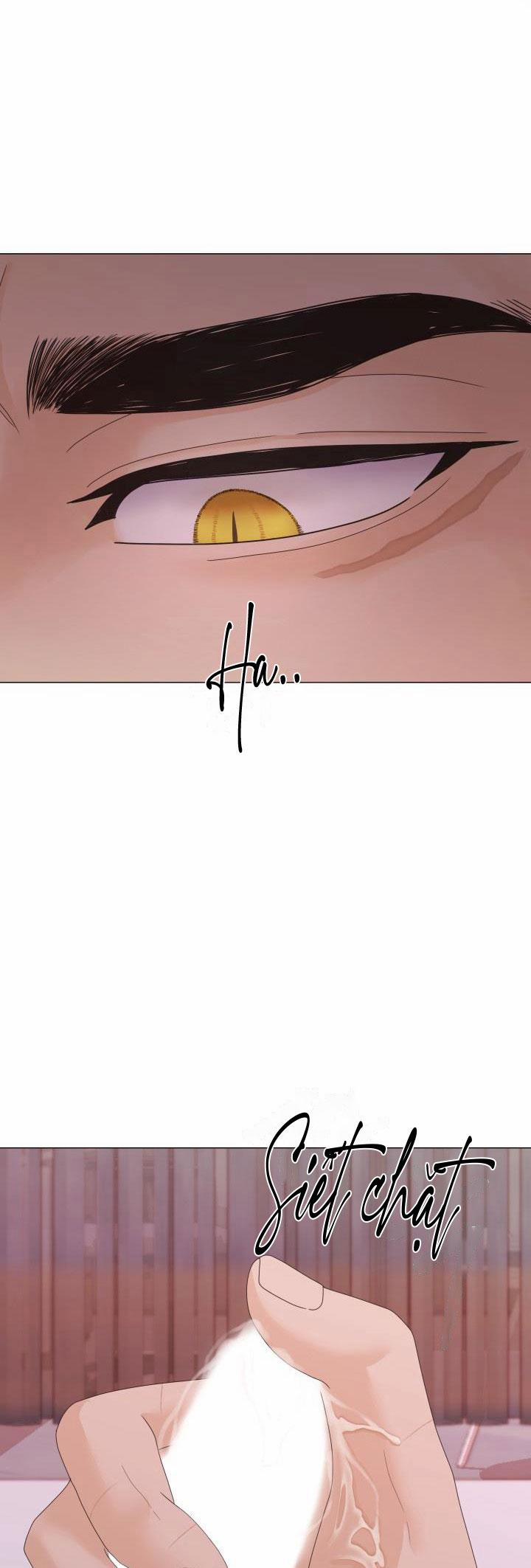 Honey Bear 36 trang 51