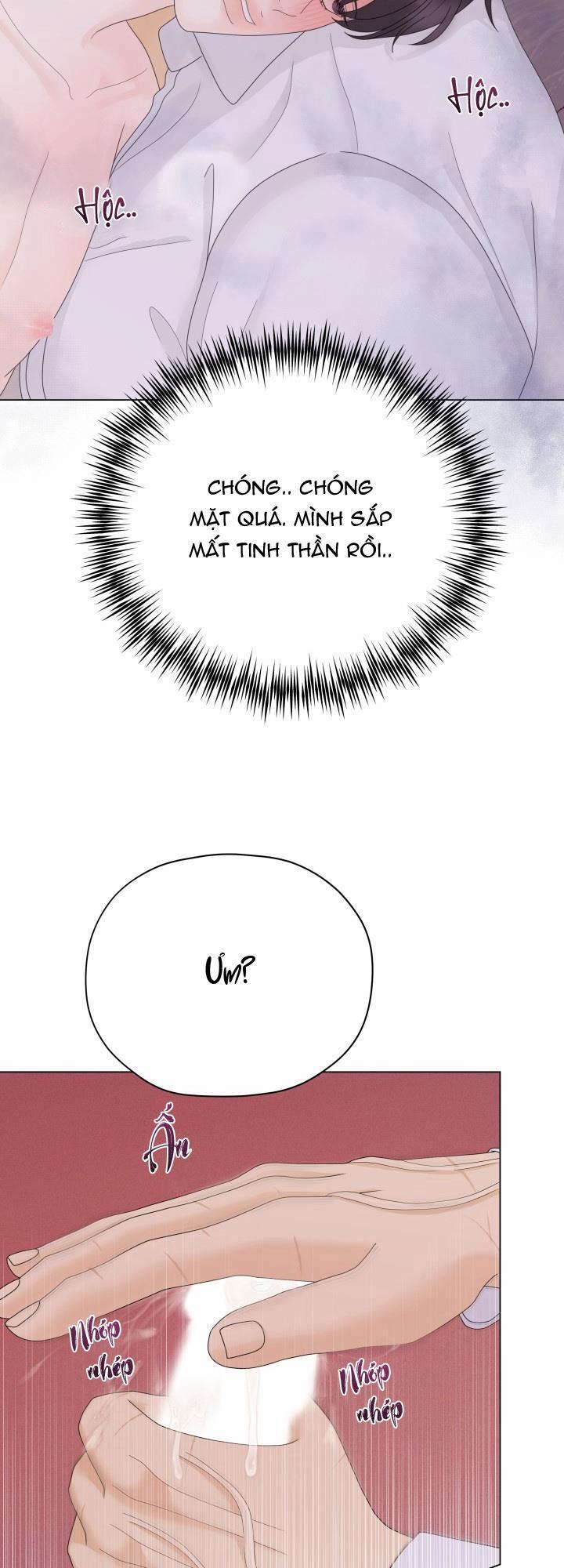 Honey Bear 36 trang 58