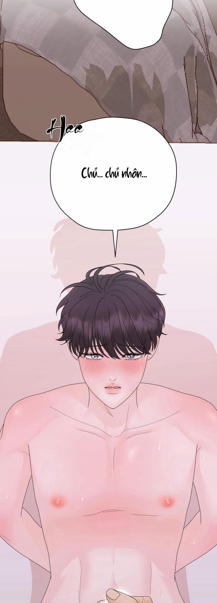 Honey Bear 36 trang 60