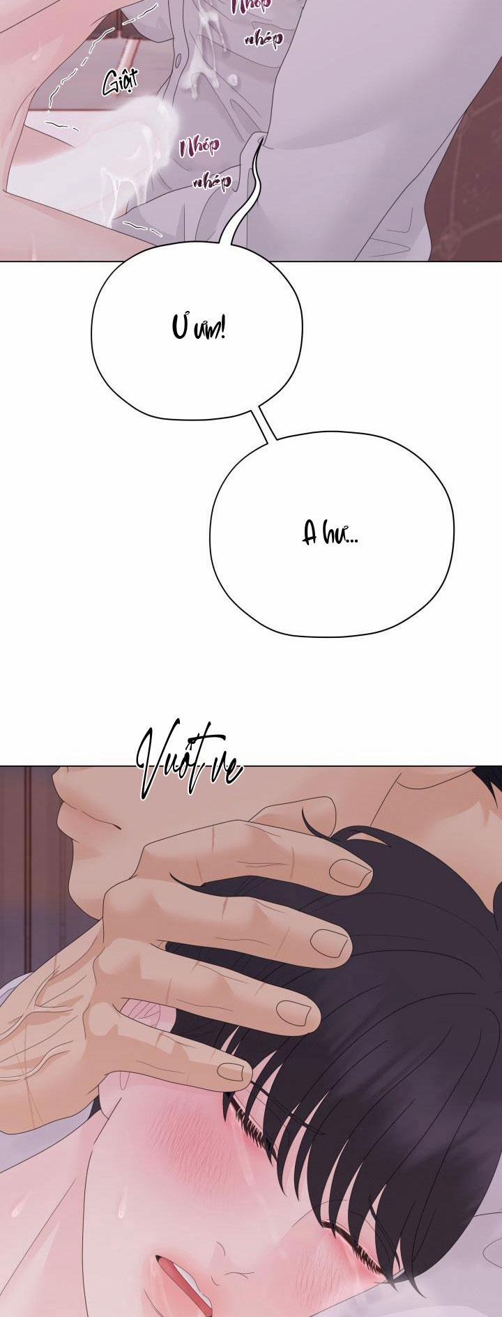 Honey Bear 36 trang 69