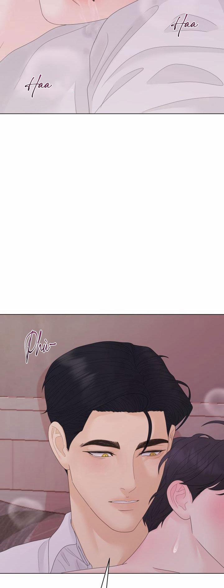 Honey Bear 36 trang 70