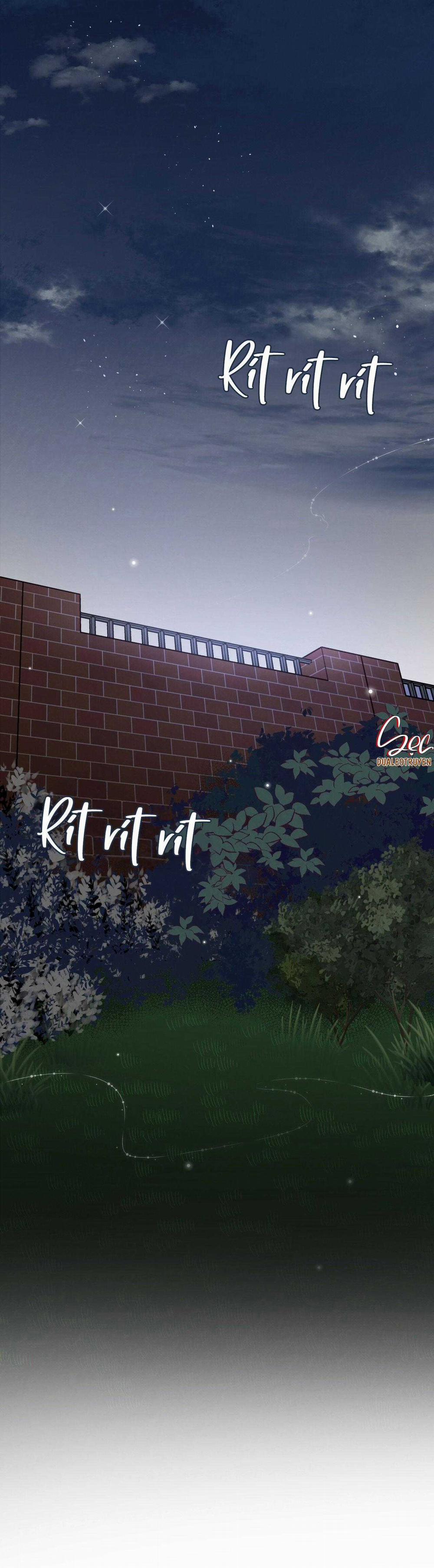 Honey Bear 37 trang 20