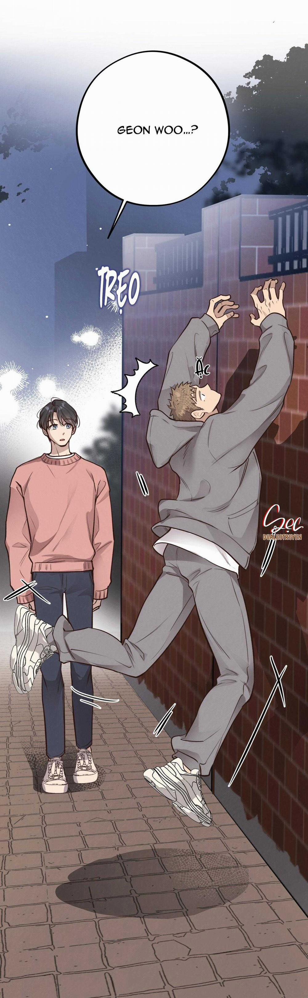 Honey Bear 37 trang 24