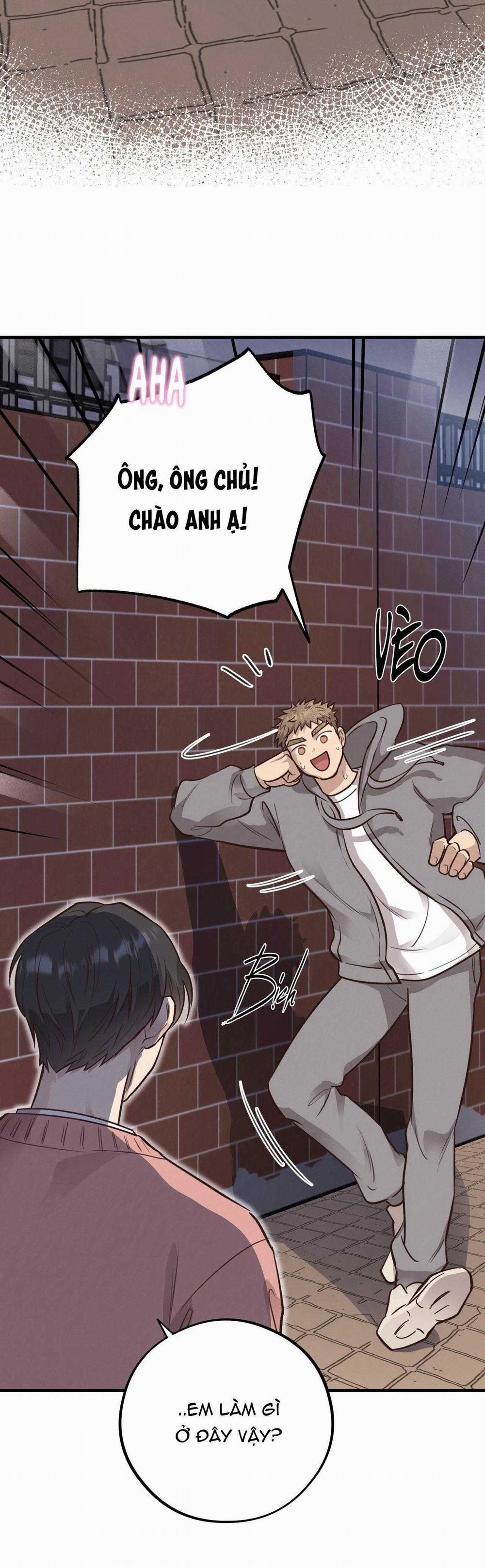 Honey Bear 37 trang 25