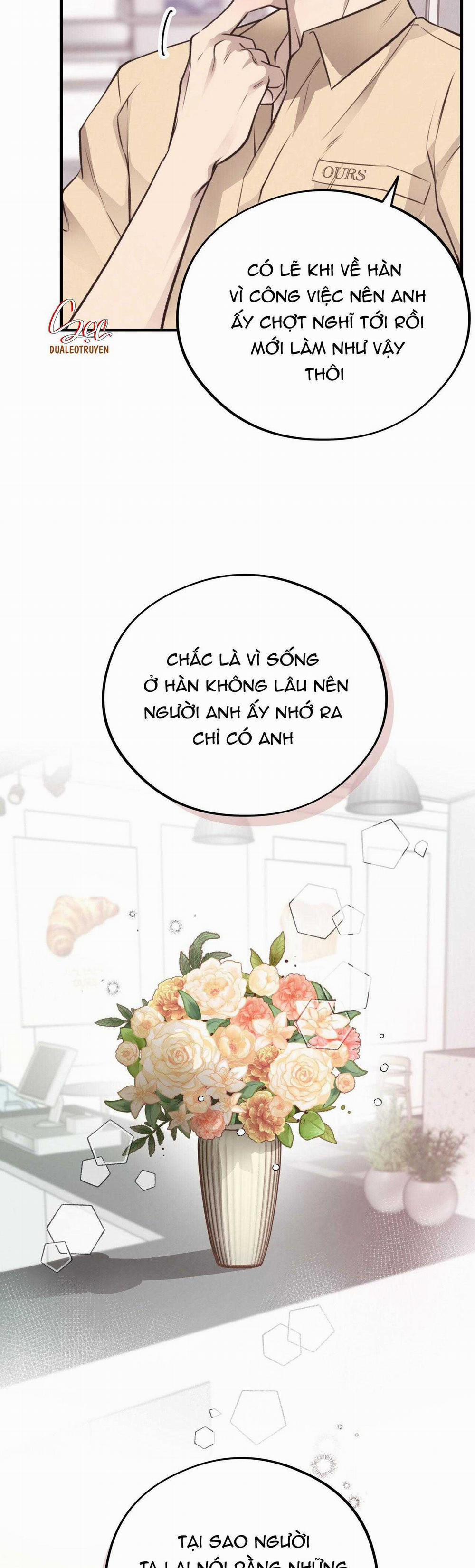 Honey Bear 37 trang 39