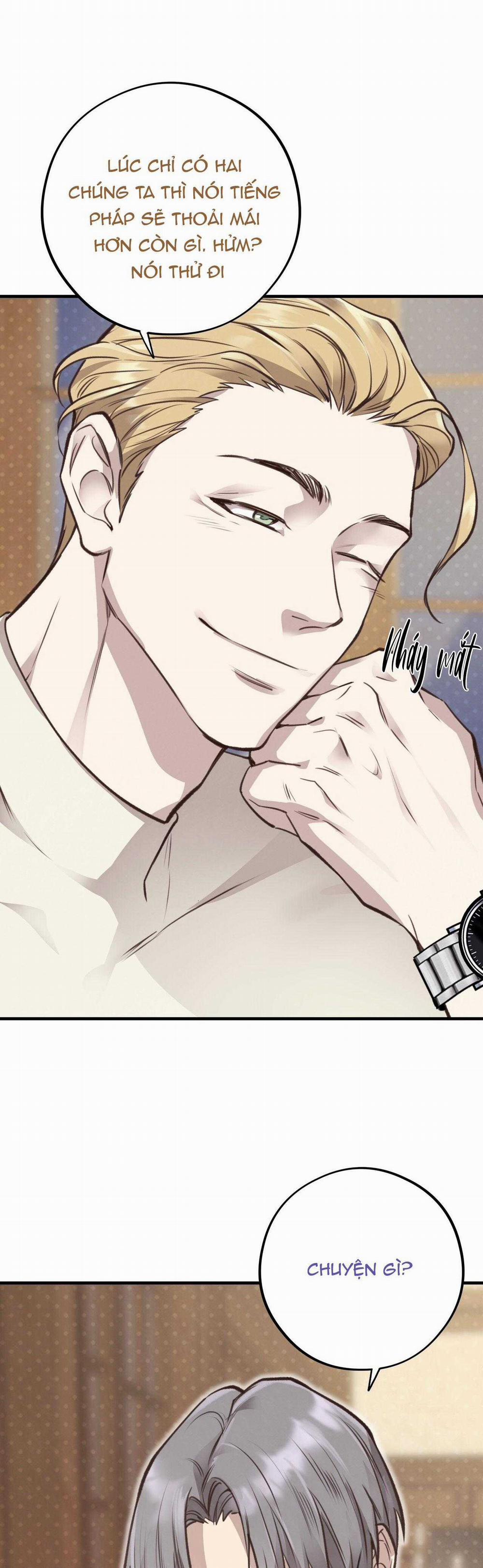 Honey Bear 37 trang 4