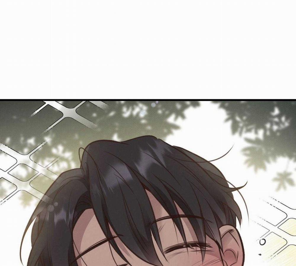 Honey Bear 37 trang 45