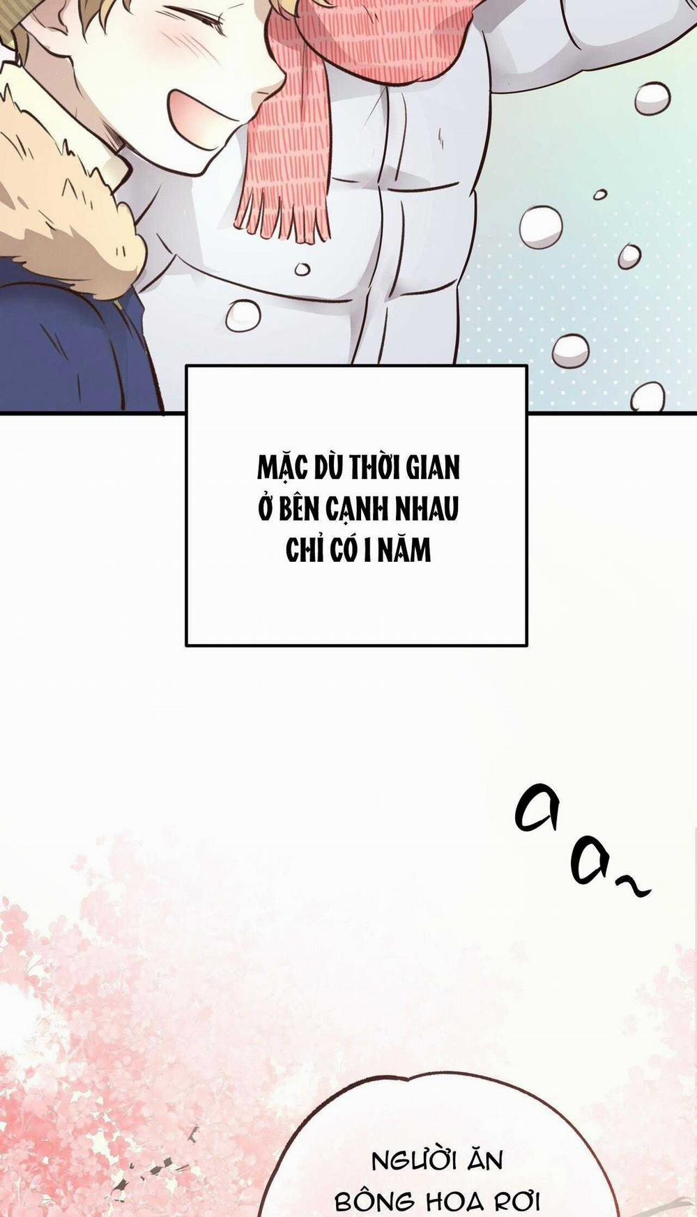 Honey Bear 38 trang 19