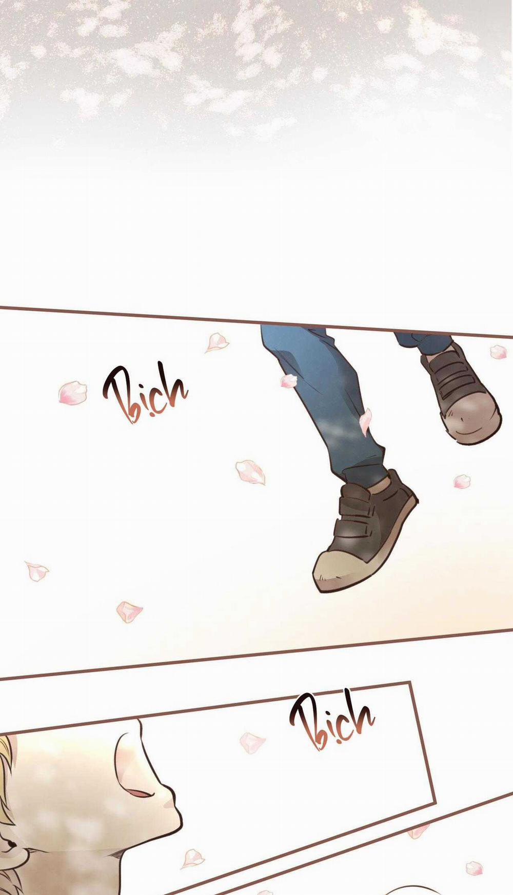 Honey Bear 38 trang 21