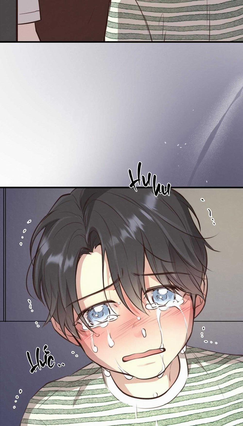 Honey Bear 38 trang 38