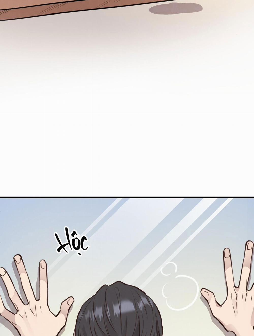 Honey Bear 39 trang 94