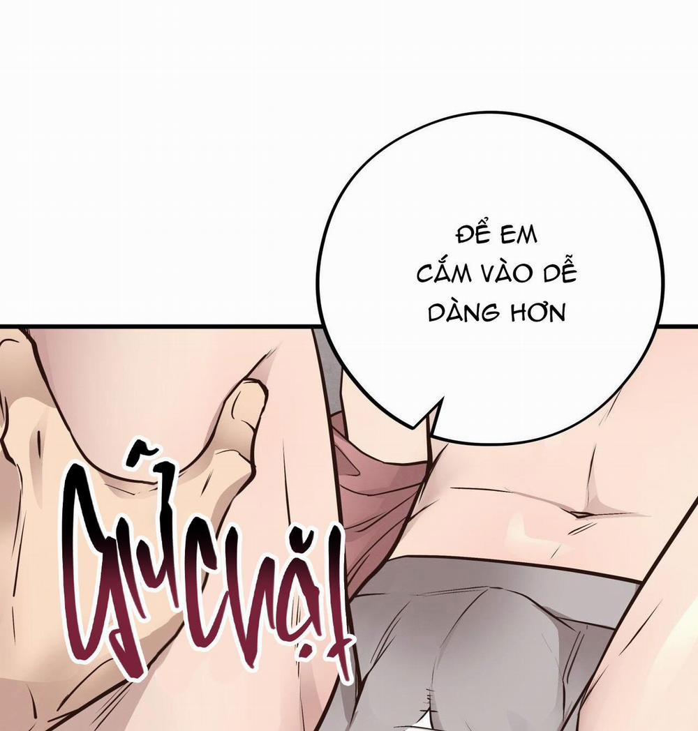 Honey Bear 40 trang 114