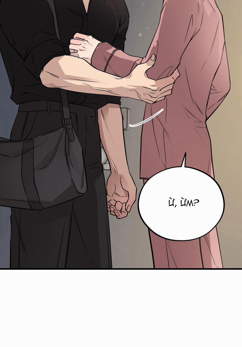 Honey Bear 40 trang 31