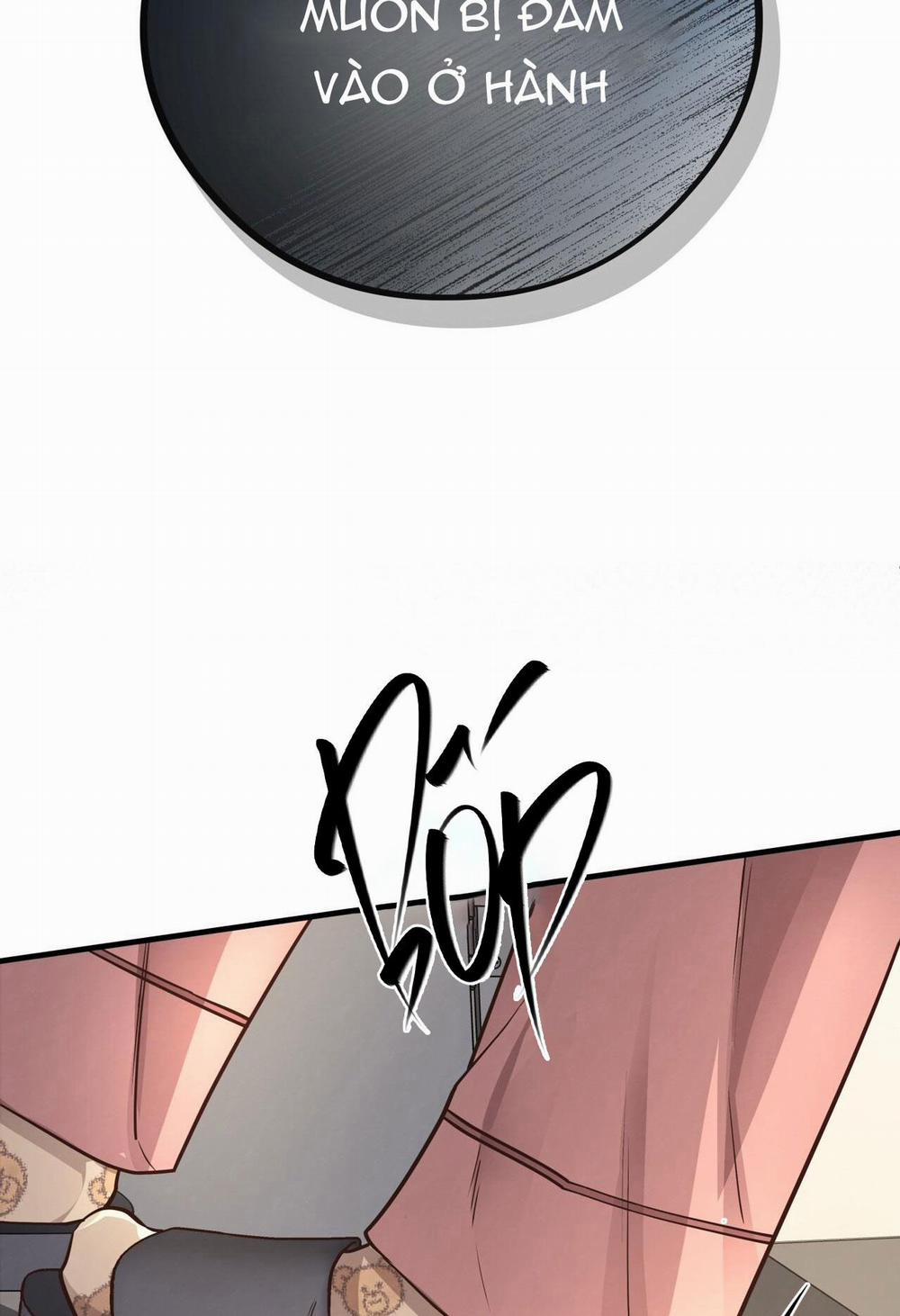 Honey Bear 40 trang 64