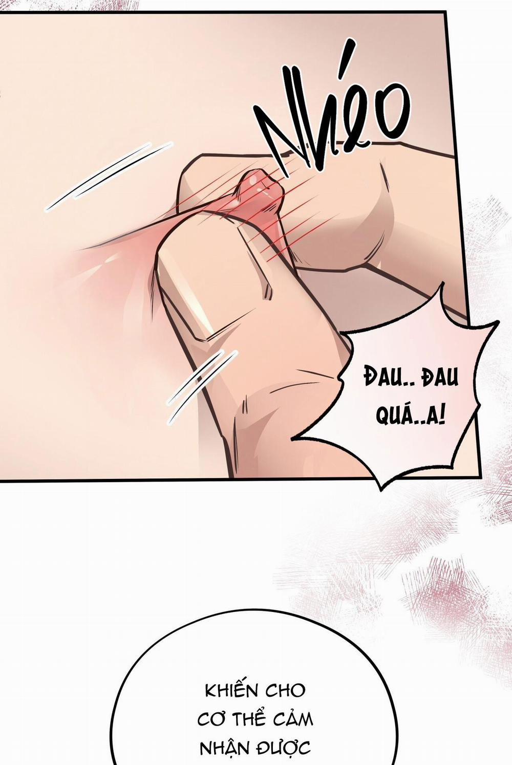 Honey Bear 40 trang 81