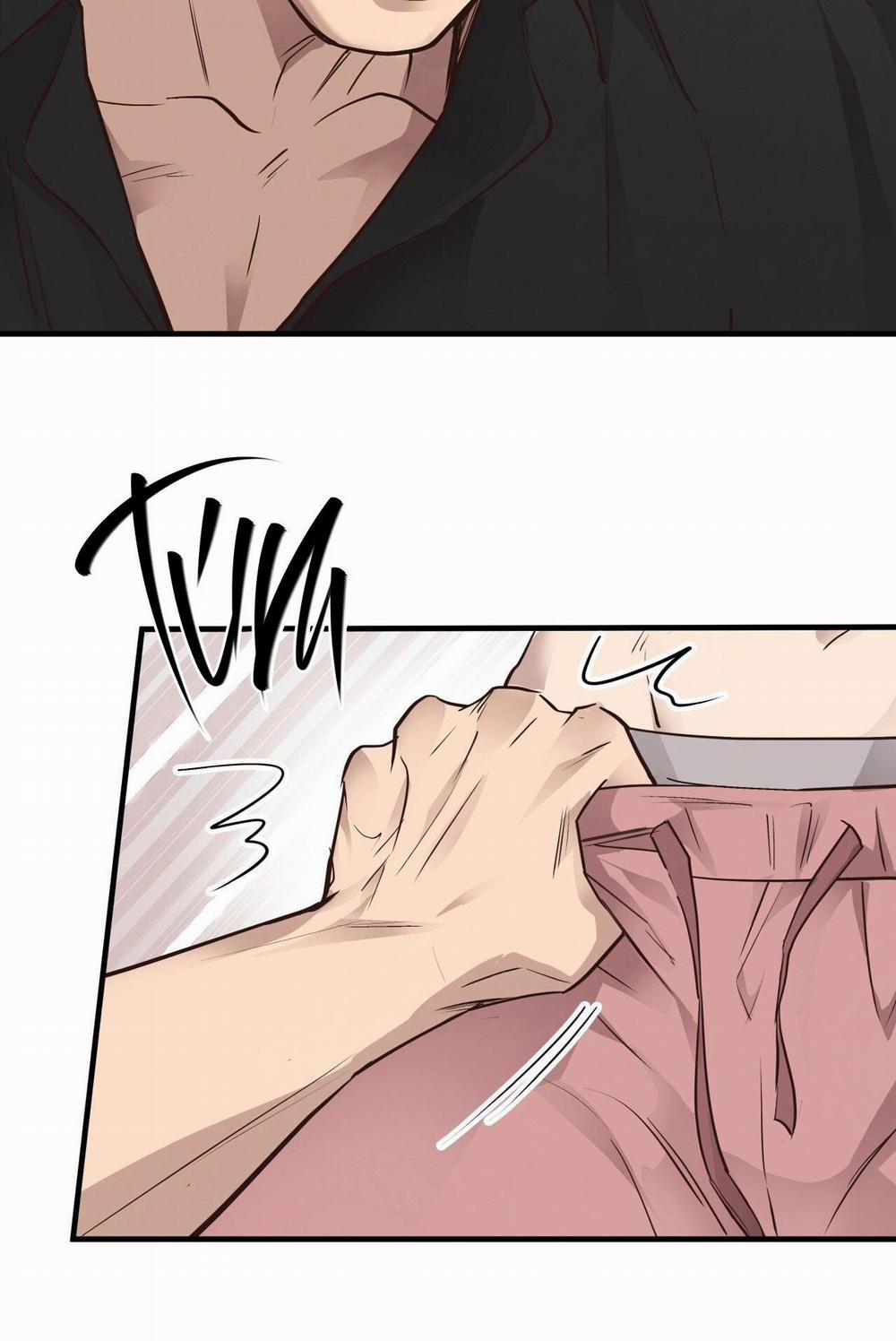 Honey Bear 40 trang 84