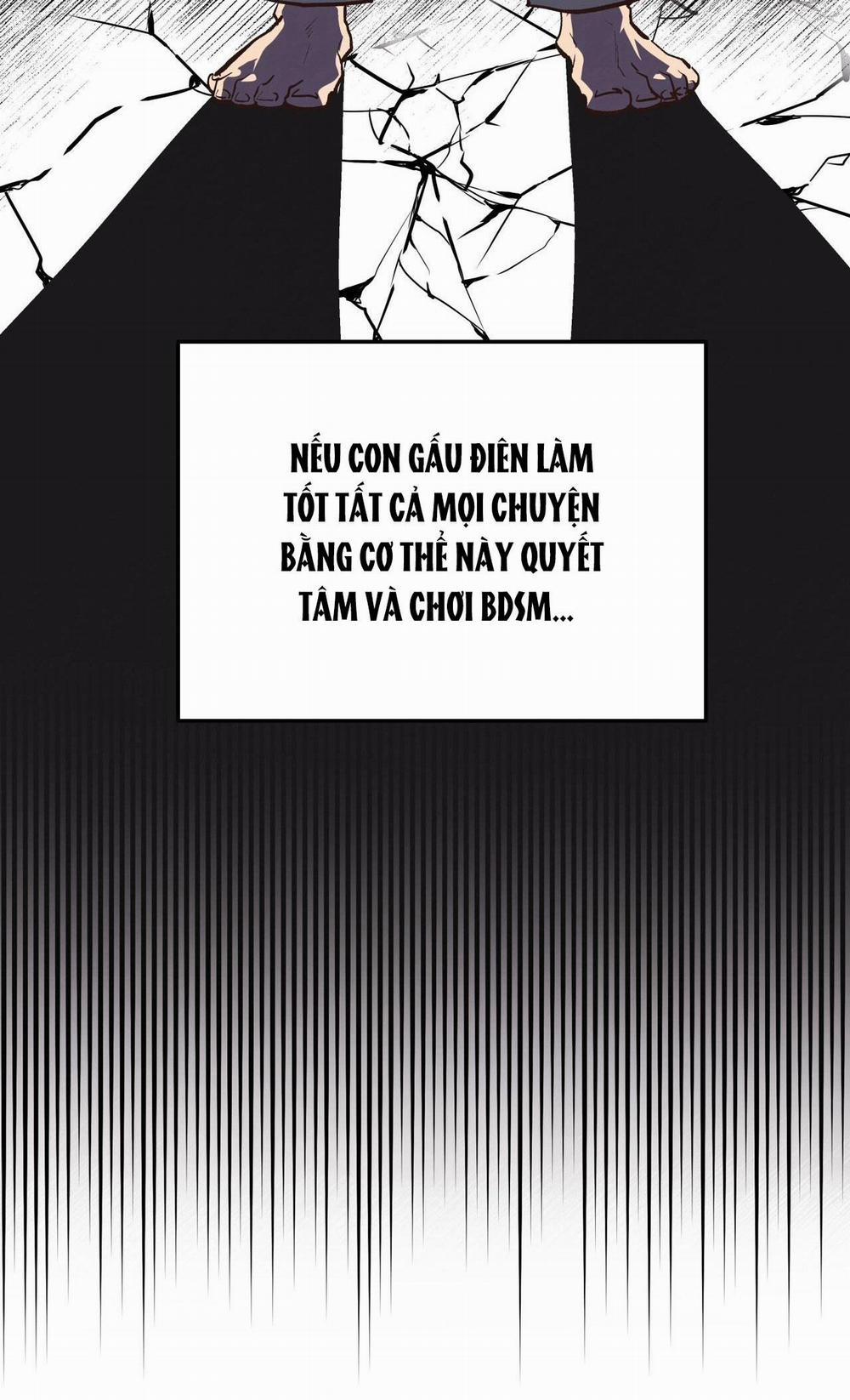 Honey Bear 40 trang 99