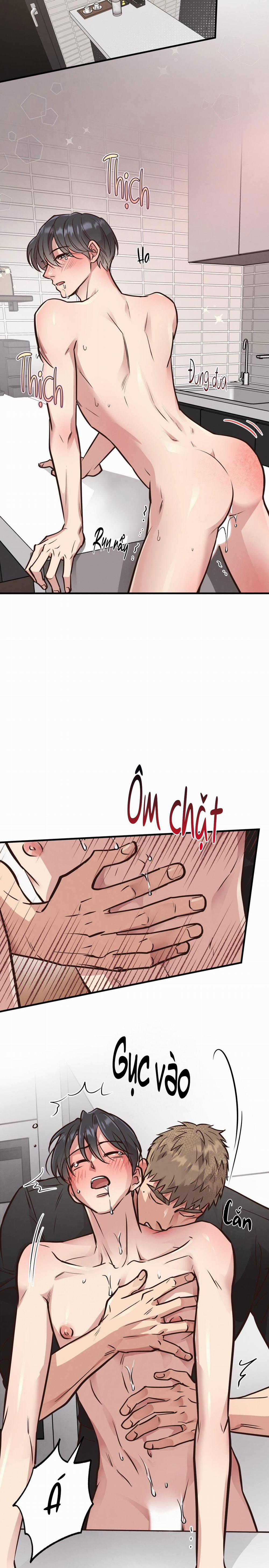 Honey Bear 41 trang 17