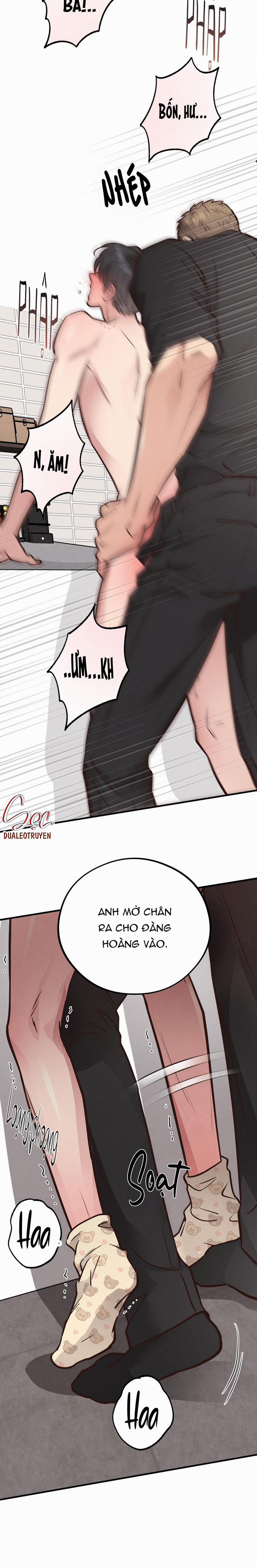 Honey Bear 41 trang 23