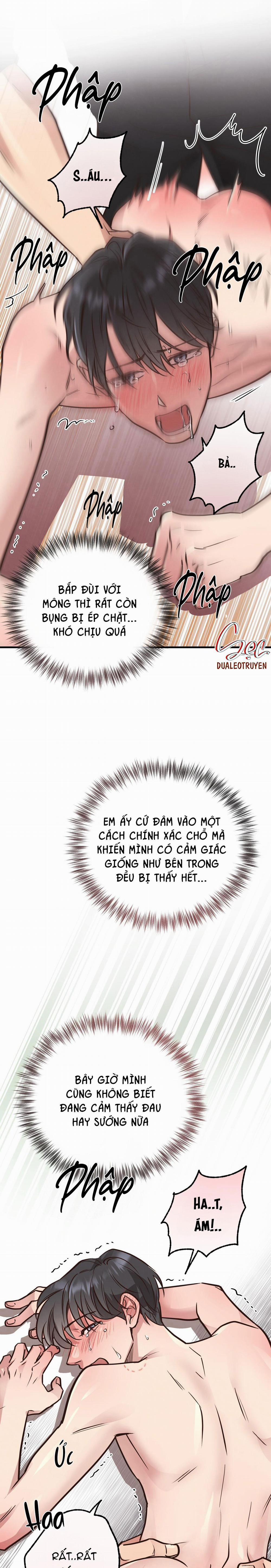 Honey Bear 41 trang 24