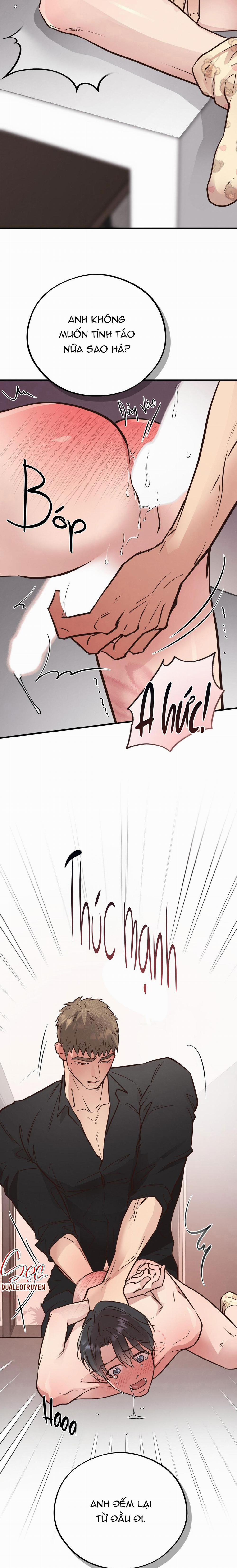 Honey Bear 41 trang 27