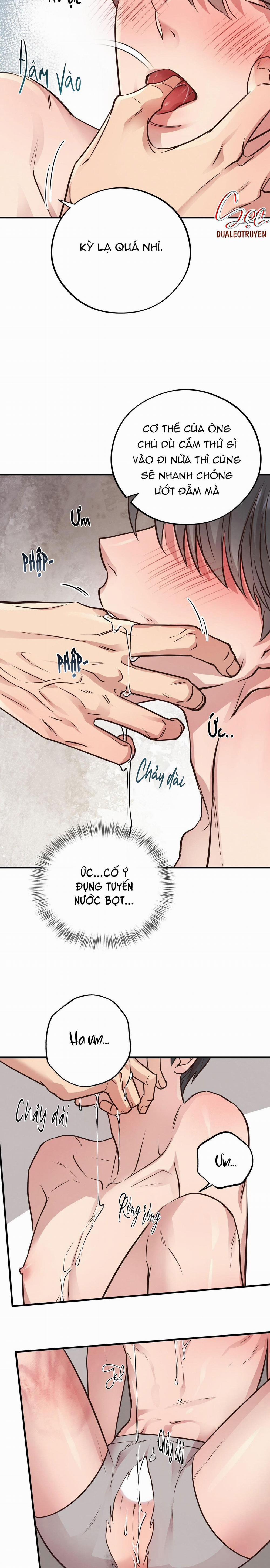 Honey Bear 41 trang 5