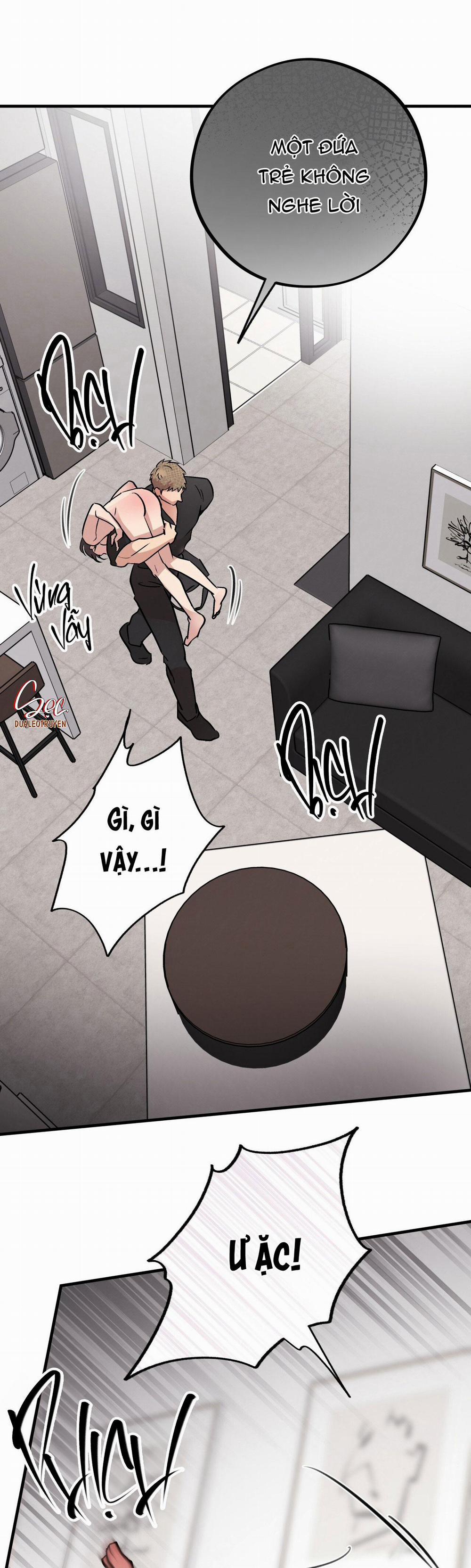 Honey Bear 42 trang 11