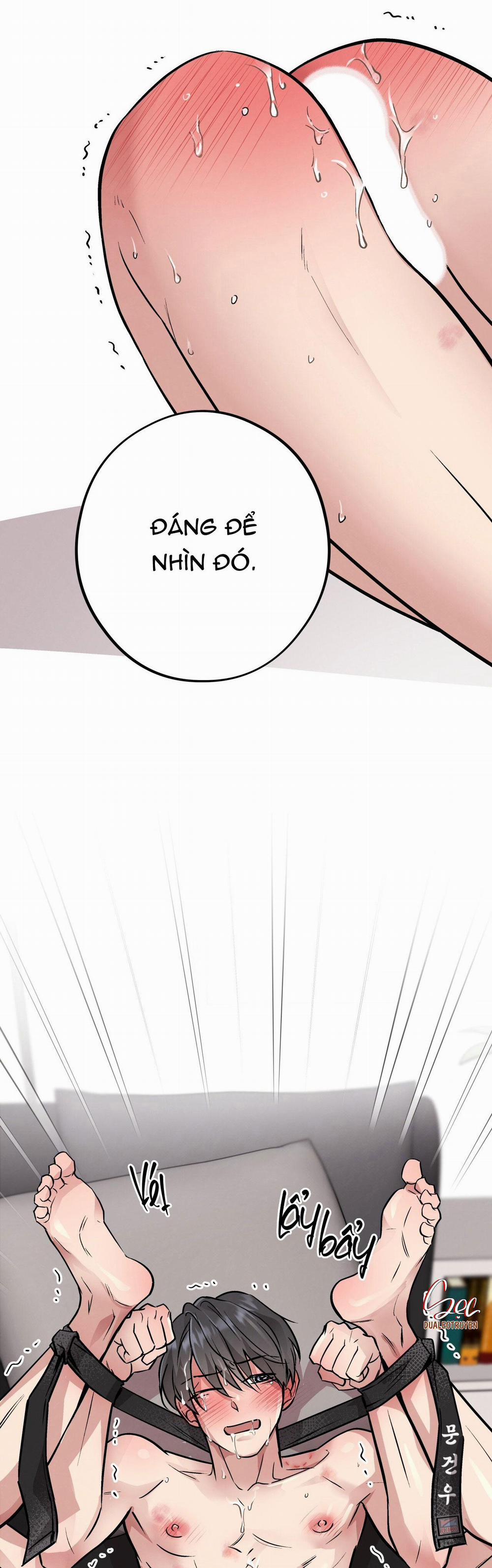 Honey Bear 42 trang 16