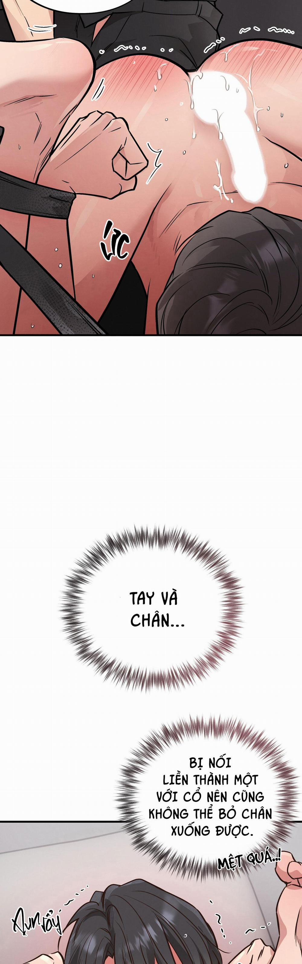 Honey Bear 42 trang 18