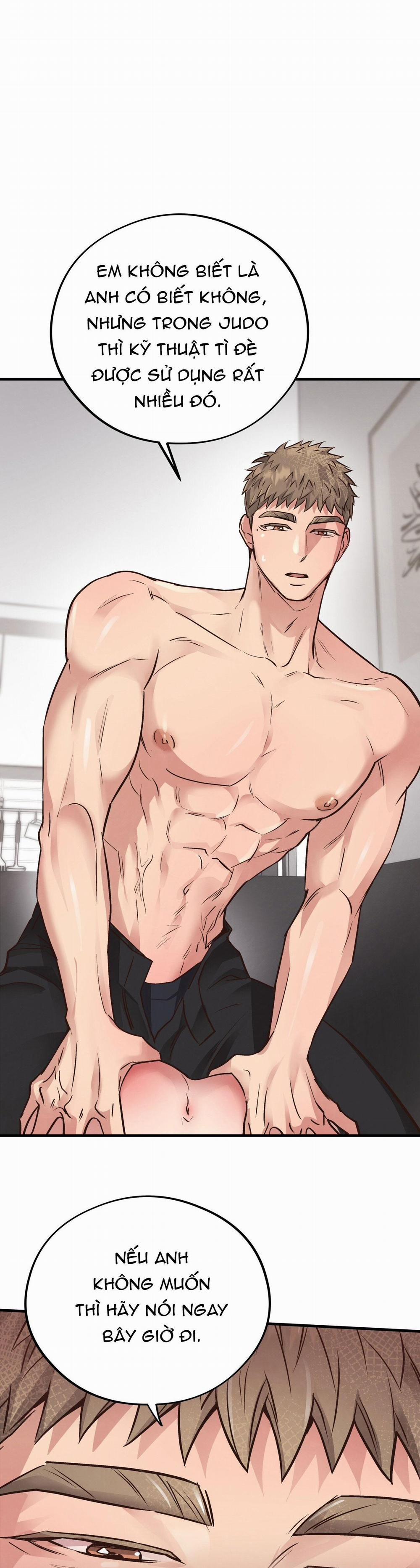 Honey Bear 42 trang 28