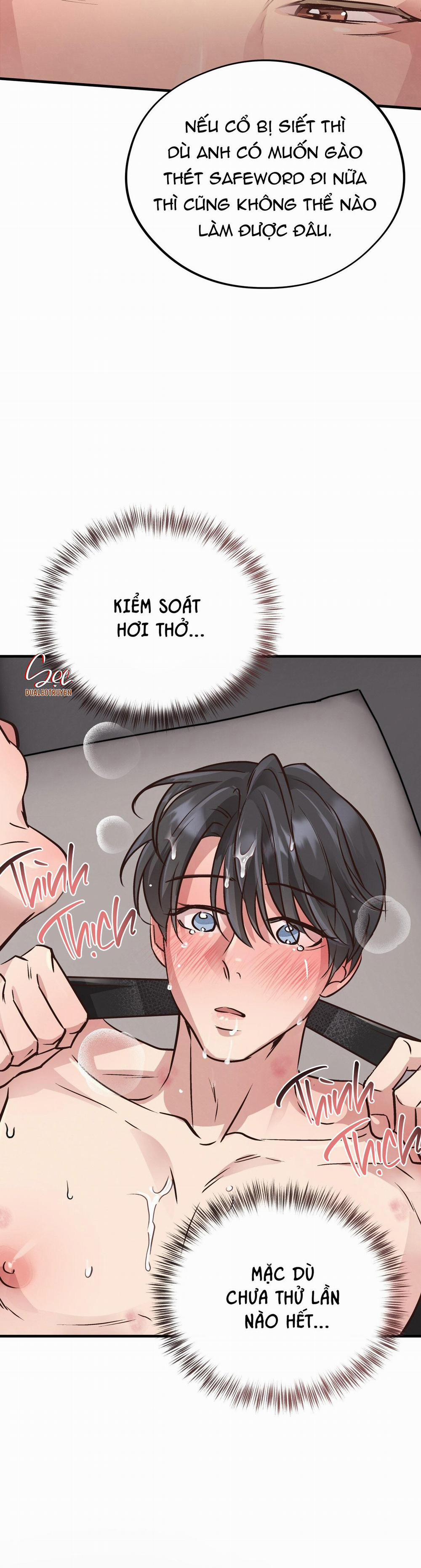 Honey Bear 42 trang 29