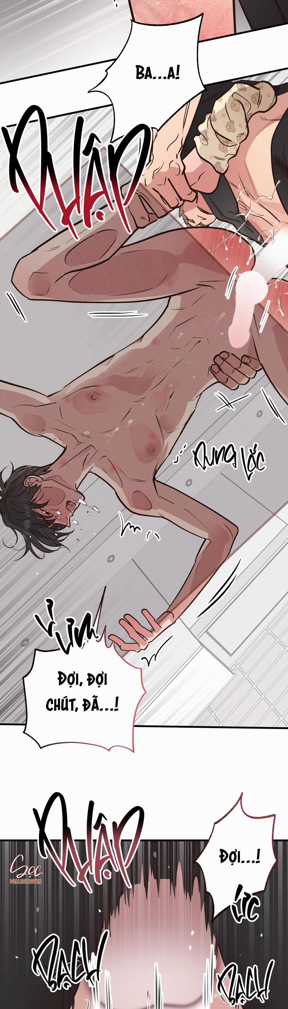 Honey Bear 42 trang 3