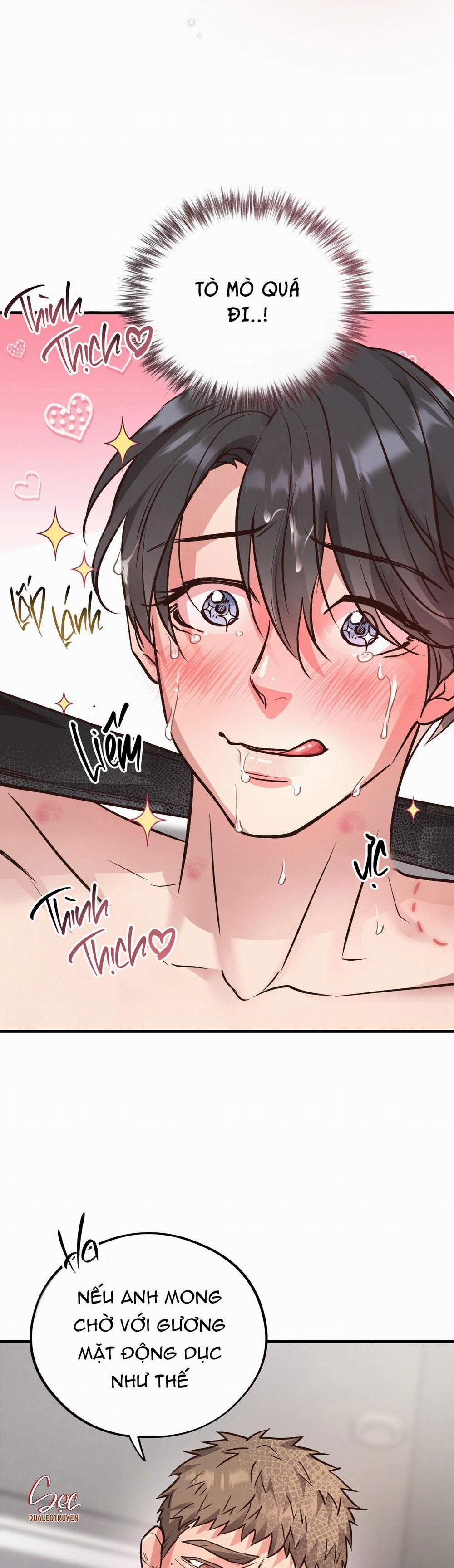 Honey Bear 42 trang 31