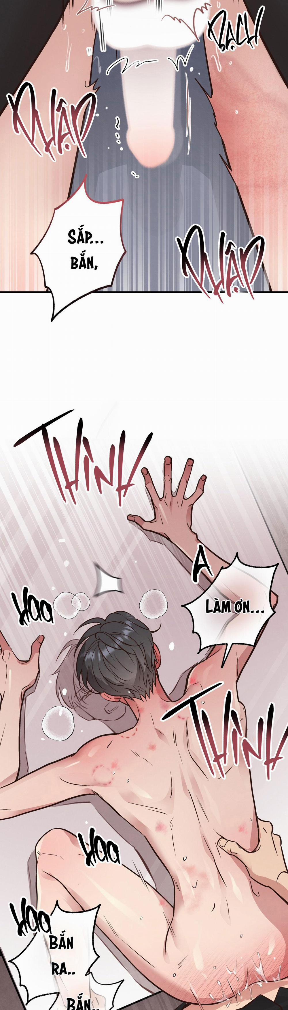 Honey Bear 42 trang 4