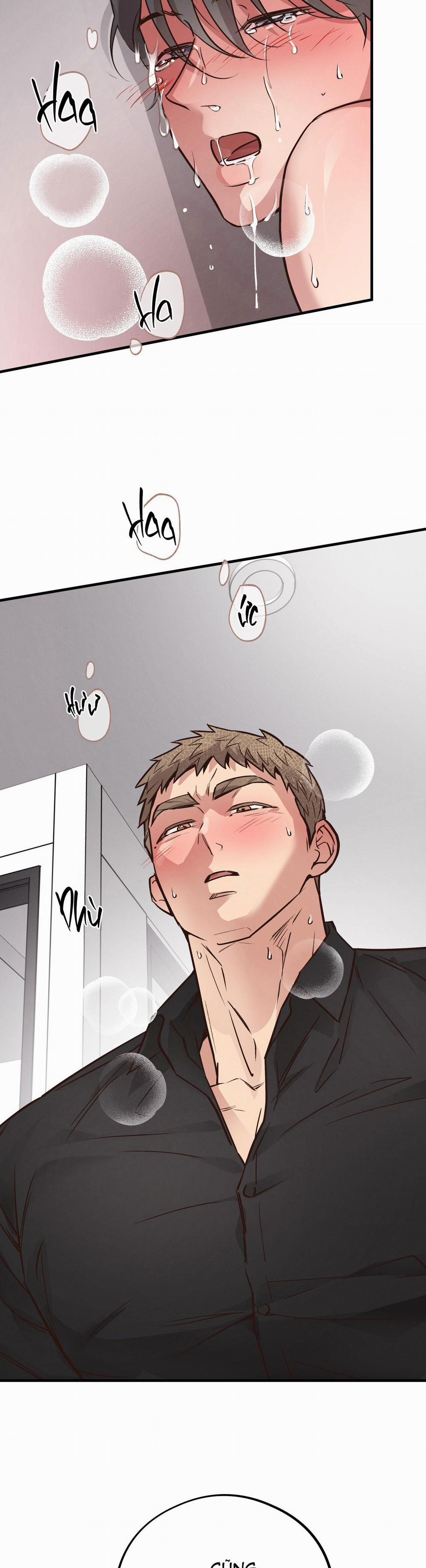 Honey Bear 42 trang 7